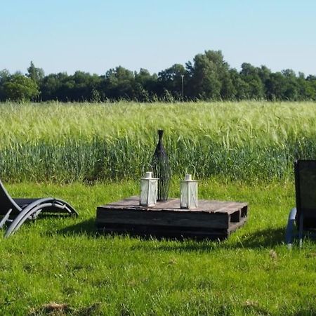 La Case à Jane, gite familial en pays tarnais Coufouleux Esterno foto