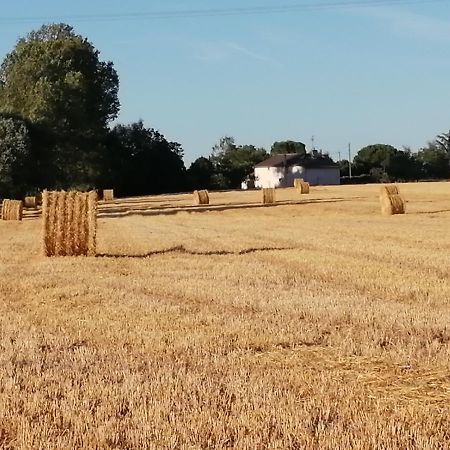 La Case à Jane, gite familial en pays tarnais Coufouleux Esterno foto