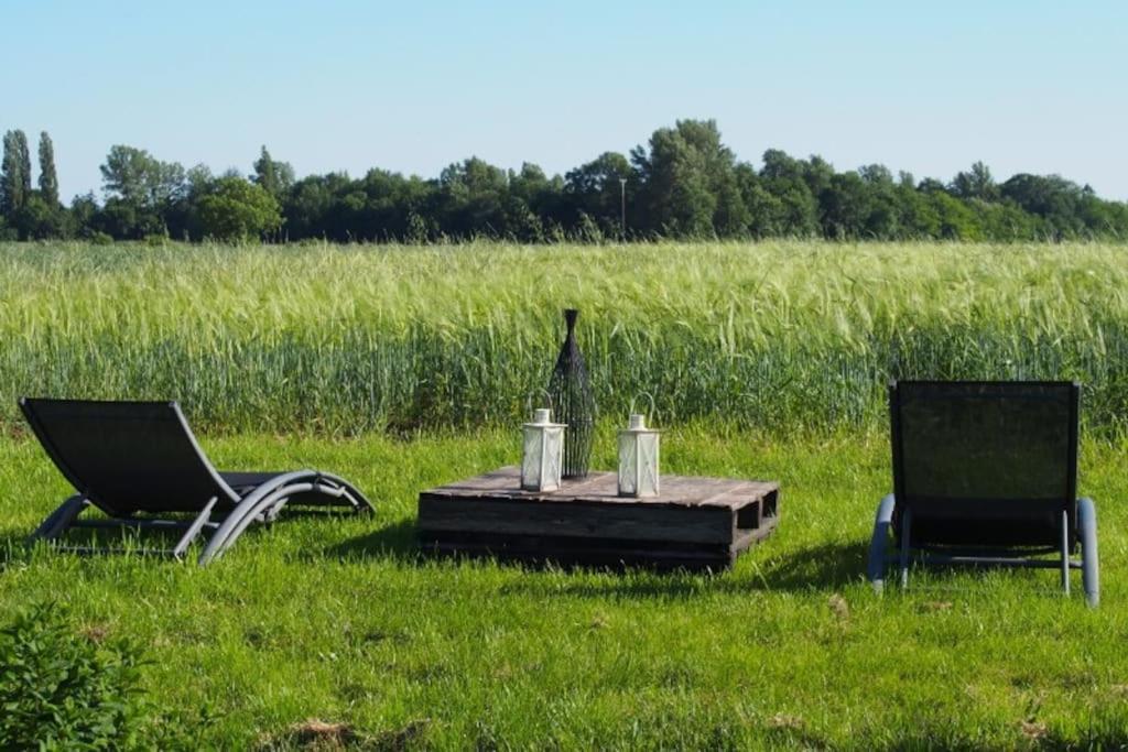 La Case à Jane, gite familial en pays tarnais Coufouleux Esterno foto
