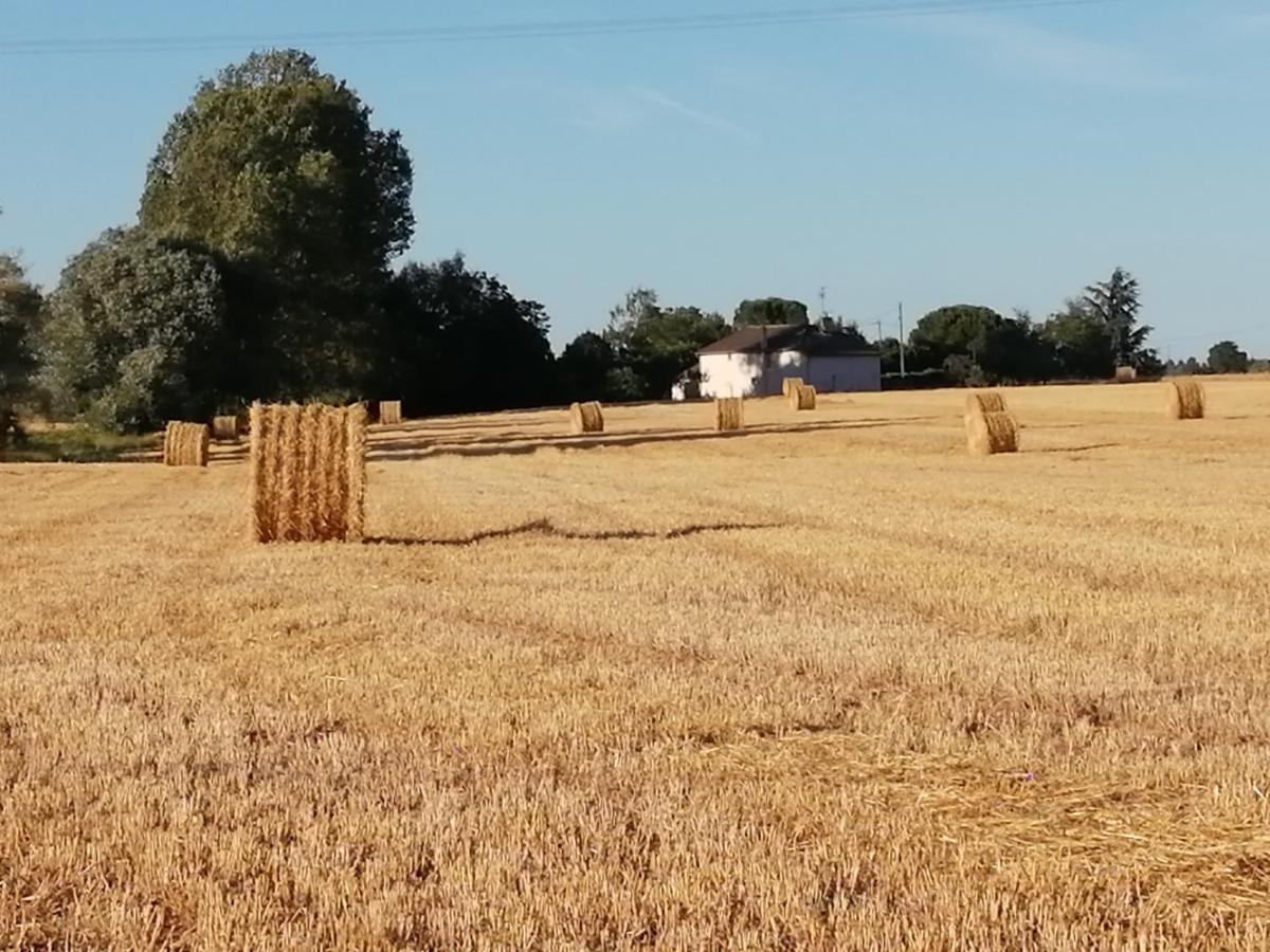 La Case à Jane, gite familial en pays tarnais Coufouleux Esterno foto