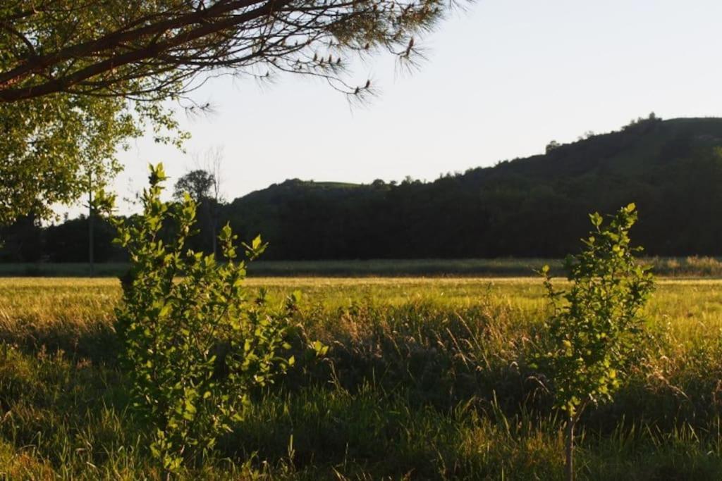 La Case à Jane, gite familial en pays tarnais Coufouleux Esterno foto