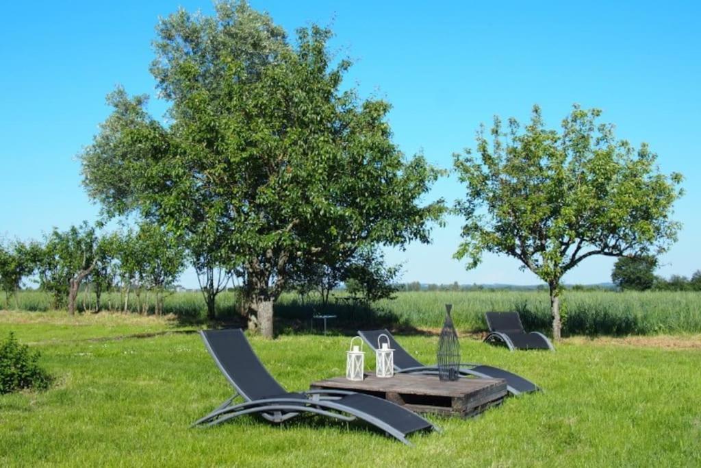 La Case à Jane, gite familial en pays tarnais Coufouleux Esterno foto