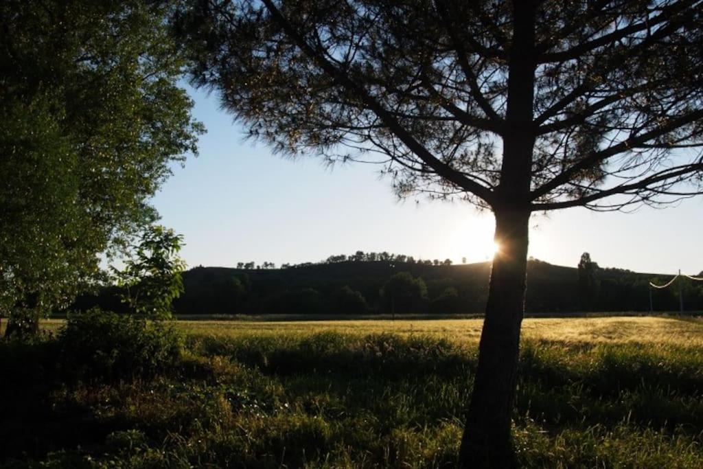La Case à Jane, gite familial en pays tarnais Coufouleux Esterno foto