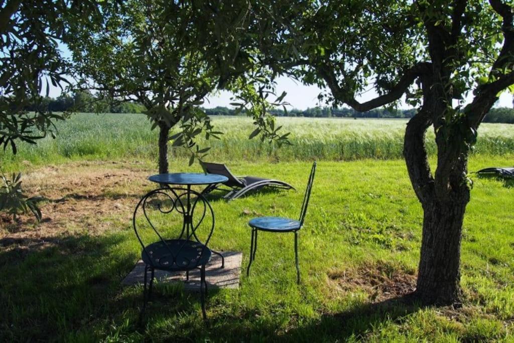 La Case à Jane, gite familial en pays tarnais Coufouleux Esterno foto