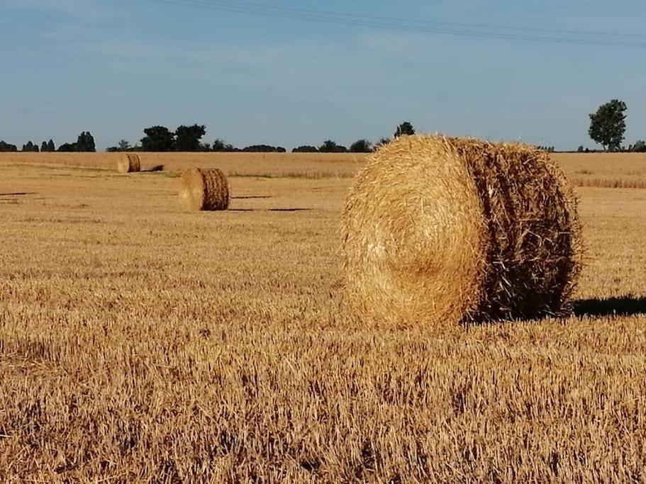 La Case à Jane, gite familial en pays tarnais Coufouleux Esterno foto